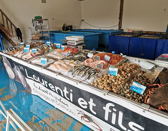 Vente directe de pêche à Saint-Méloir-des-Ondes
