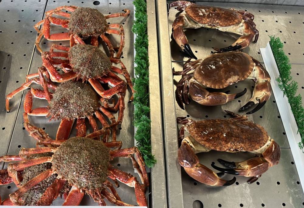 Vente d'araignées de mer à Saint-Méloir-des-Ondes