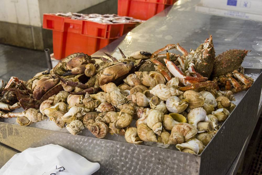 Vente de bulots à Saint-Méloir-des-Ondes