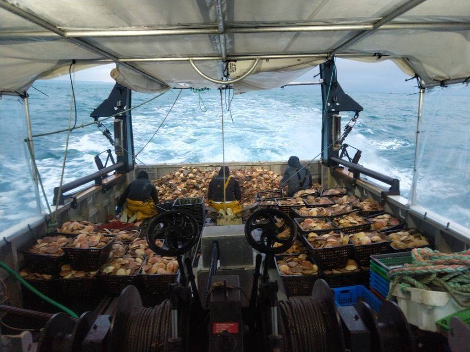 Retour de pêche