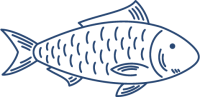 Poissons